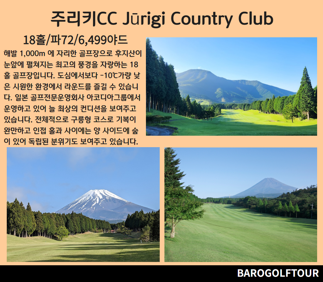 시즈오카후지산 4.png