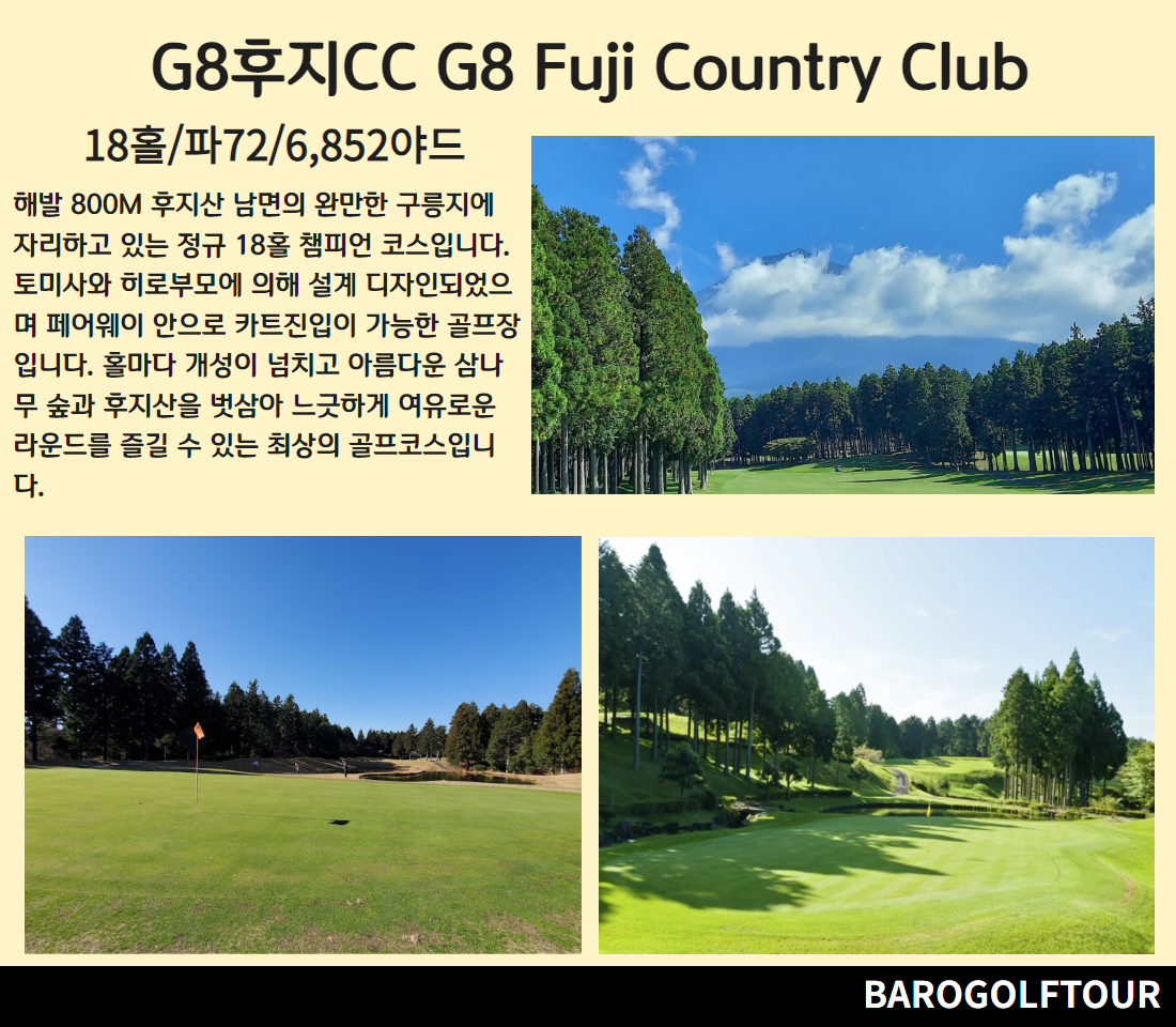 시즈오카후지산 5.png